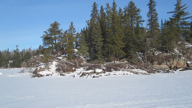 Winter the Wilderness