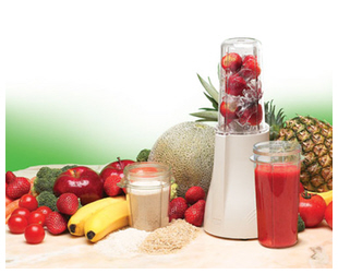 raw food mini-blender