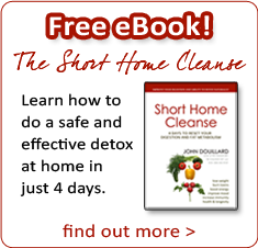Free eBook:  The Short Home Cleanse