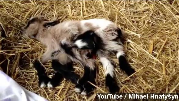 Newsy Video: Romney iPhone Photo App                                                  Misspells                                                  America