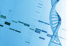 Genetic testing for                                              gluten