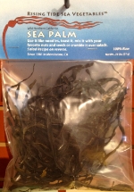 Sea Palm