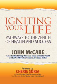 Igniting Your Life