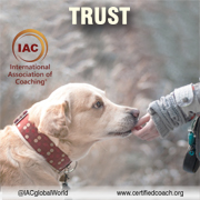 IMGENG5Trust072017.jpg