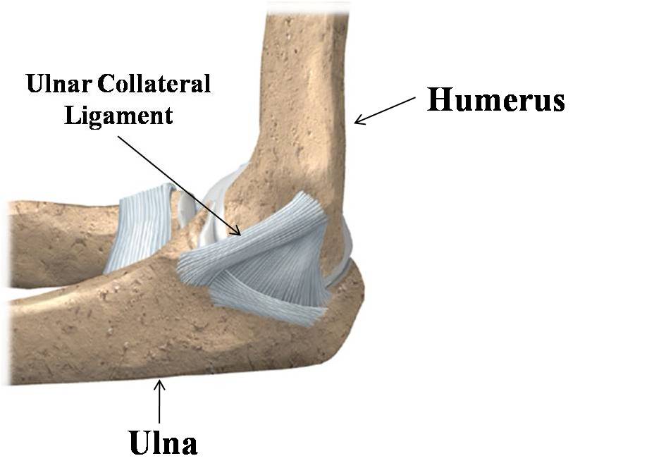 And Here’s How Poor Deceleration Can Tear Your UCL | The ARMory Power ...