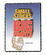 Small Stocks, Big Profits