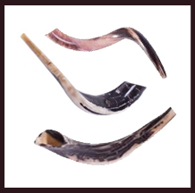 Shofar_thumbnail.jpg