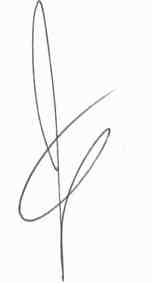 Josh Nelson Signature.jpg